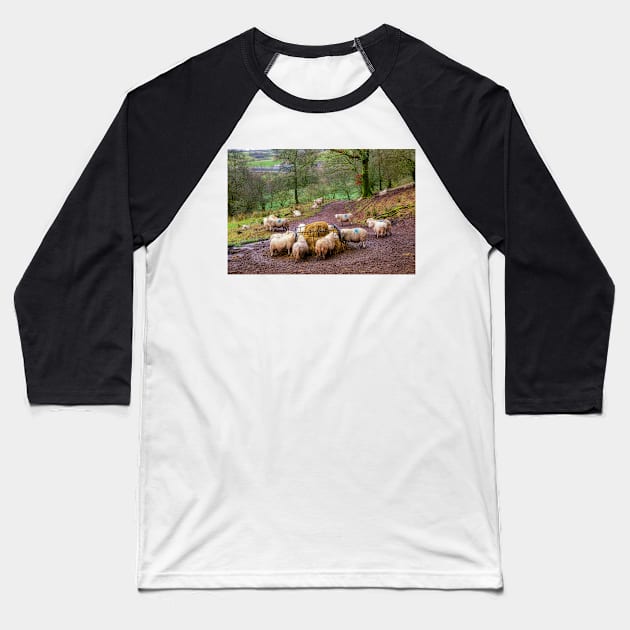 Sheep Feeding in the Brecon Beacons Baseball T-Shirt by dasantillo